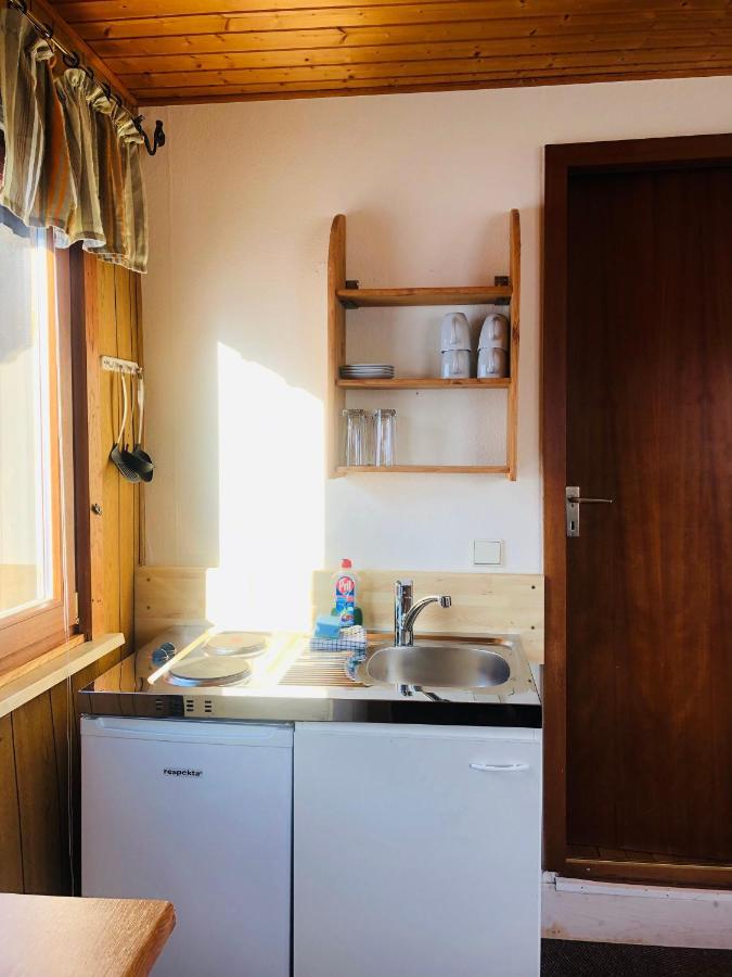 Haus Hubertus Apartment Willingen  Ngoại thất bức ảnh