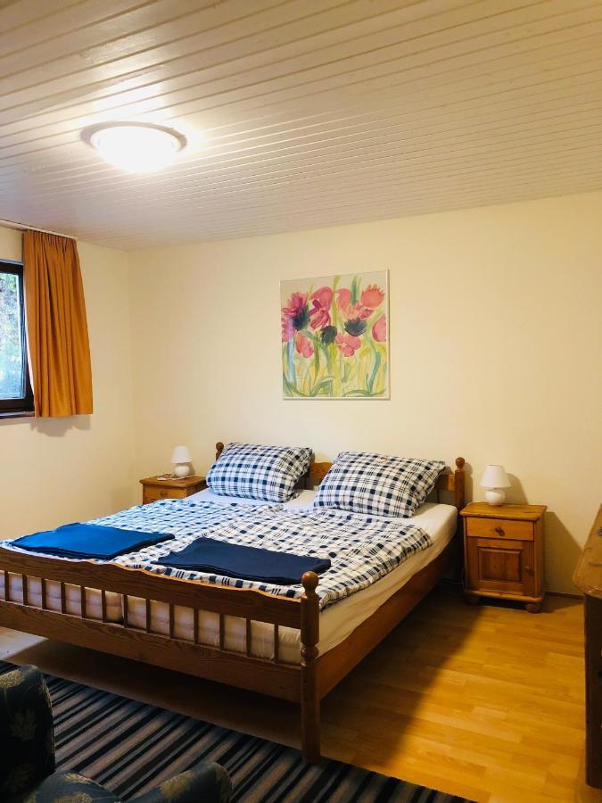 Haus Hubertus Apartment Willingen  Ngoại thất bức ảnh