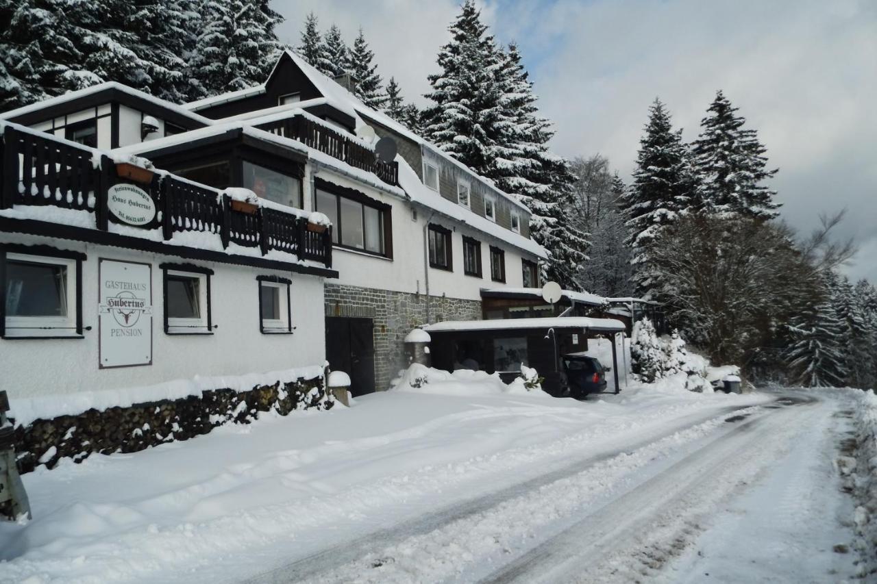 Haus Hubertus Apartment Willingen  Ngoại thất bức ảnh